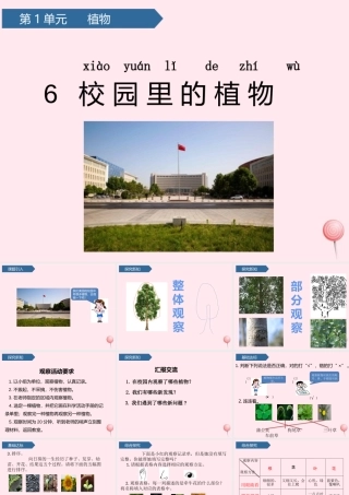 一年级科学上册 植物 6校园里的植物课件 教科版-教科版小学一年级上册自然科学课件