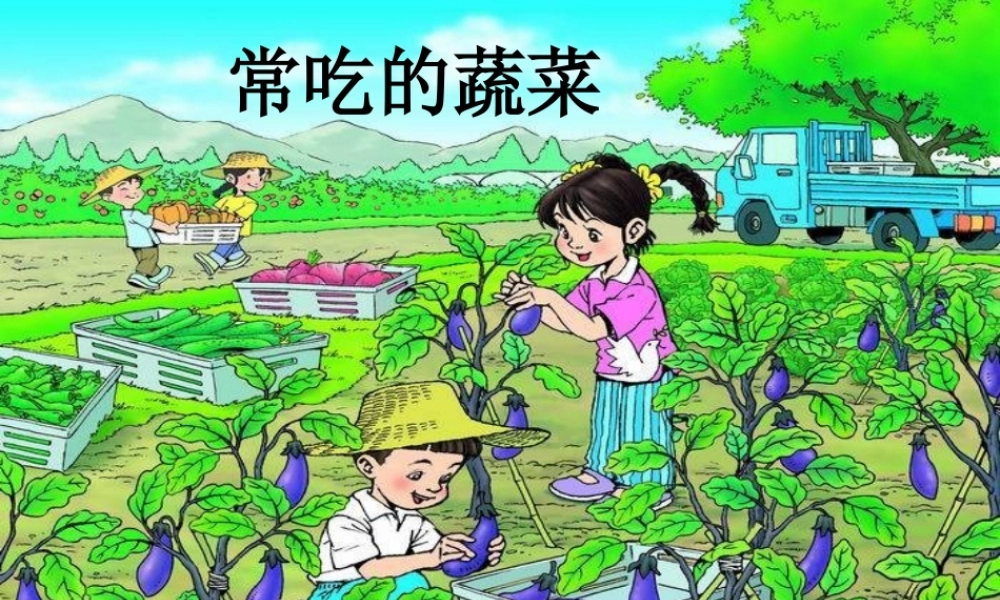 一年级生活与科技下册 2.1《常吃的蔬菜和水果》课件（1） 新人教版-新人教版小学一年级下册自然科学课件