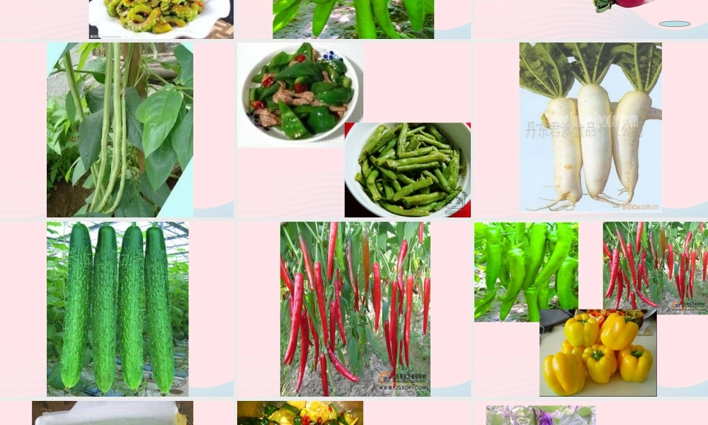 一年级生活与科技下册 2.1《常吃的蔬菜和水果》课件（1） 新人教版-新人教版小学一年级下册自然科学课件