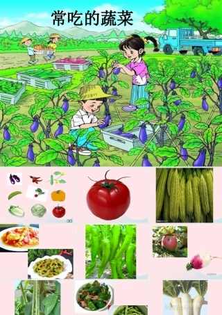 一年级生活与科技下册 2.1《常吃的蔬菜和水果》课件（1） 新人教版-新人教版小学一年级下册自然科学课件