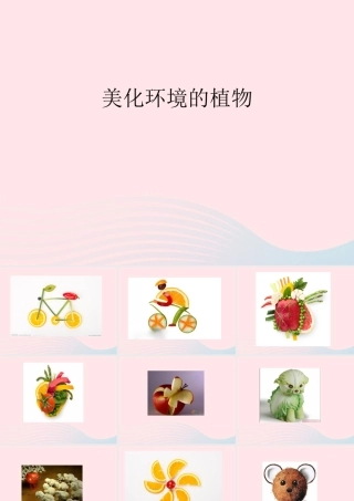 一年级生活与科技下册 2.1《常吃的蔬菜和水果》课件（2） 新人教版-新人教版小学一年级下册自然科学课件