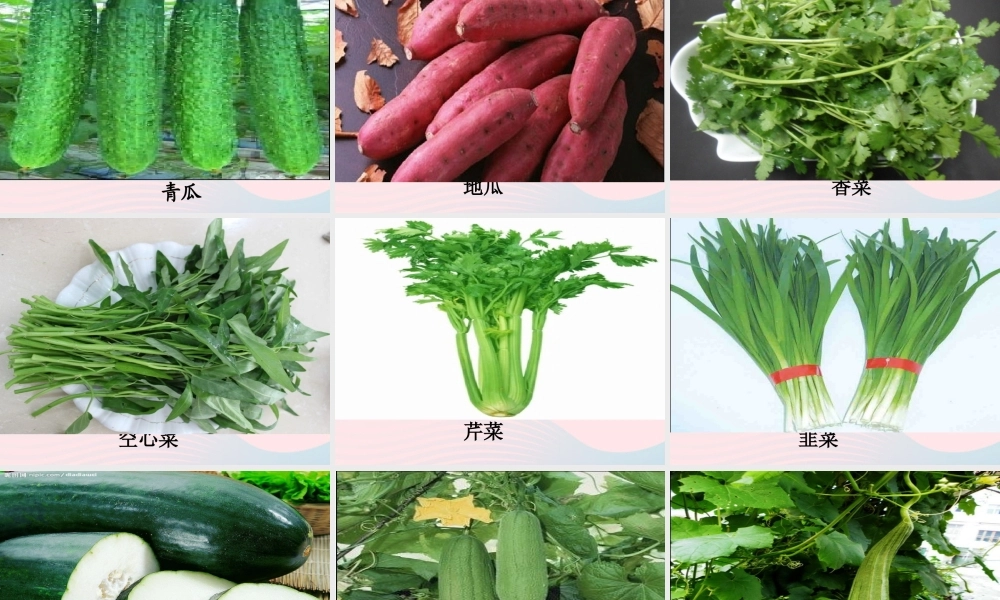 一年级生活与科技下册 2.1《常吃的蔬菜和水果》课件（3） 新人教版-新人教版小学一年级下册自然科学课件