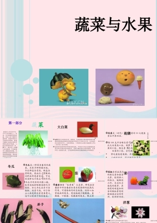 一年级生活与科技下册 2.1《常吃的蔬菜和水果》课件（3） 新人教版-新人教版小学一年级下册自然科学课件