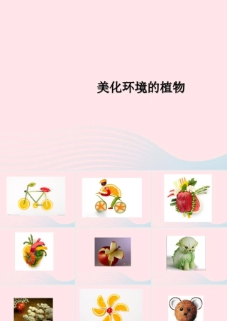 一年级生活与科技下册 2.2《美化环境的植物》课件 新人教版-新人教版小学一年级下册自然科学课件