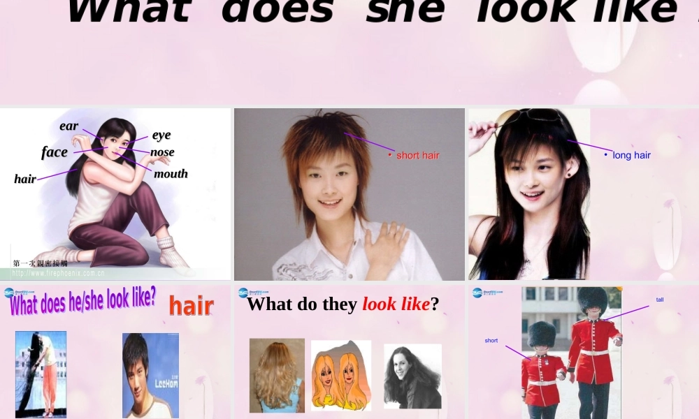 2014秋五年级英语上册 Unit 1 What does she look like课件1 湘少版