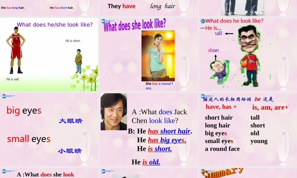 2014秋五年级英语上册 Unit 1 What does she look like课件1 湘少版