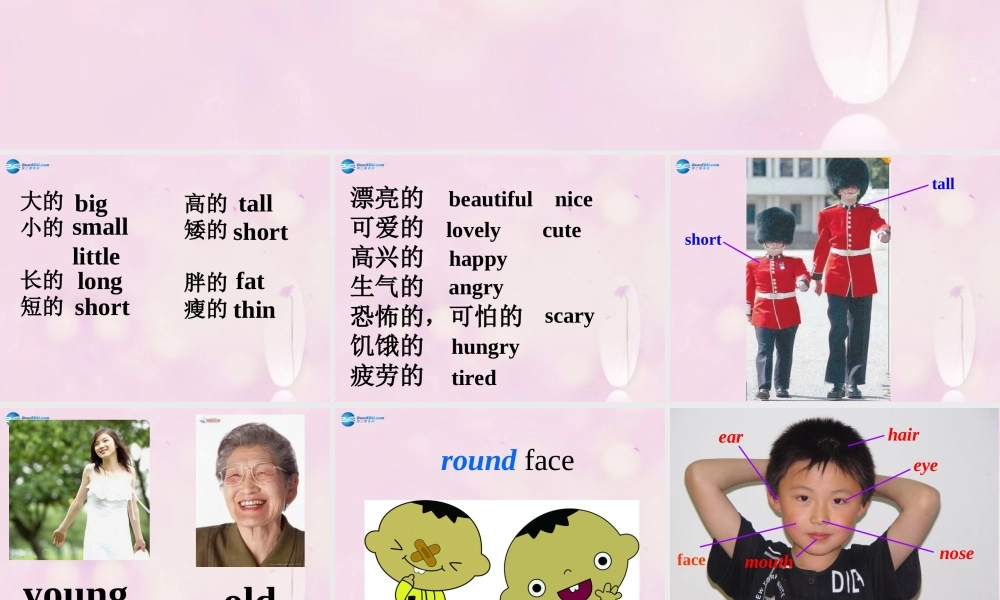 2014秋五年级英语上册 Unit 1 What does she look like课件2 湘少版