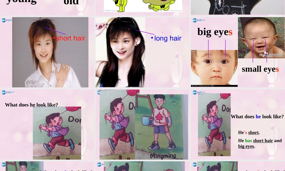 2014秋五年级英语上册 Unit 1 What does she look like课件2 湘少版