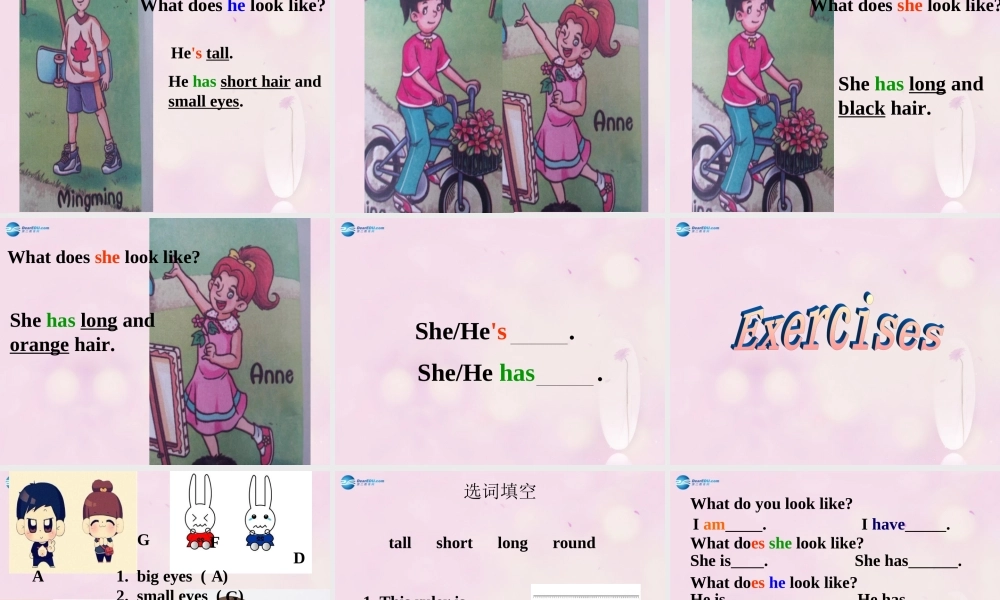 2014秋五年级英语上册 Unit 1 What does she look like课件2 湘少版