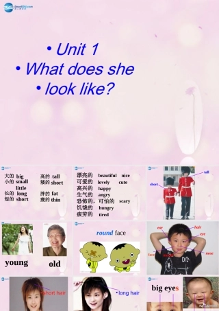 2014秋五年级英语上册 Unit 1 What does she look like课件2 湘少版