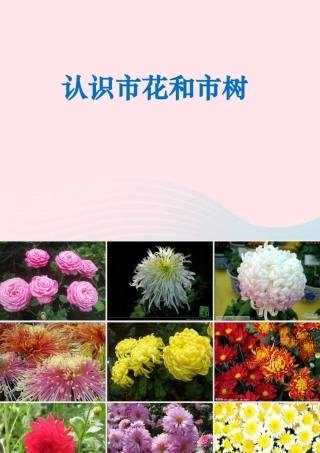 一年级生活与科技下册 2.3《北京的市树和市花》课件（1） 新人教版-新人教版小学一年级下册自然科学课件