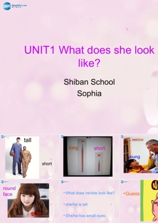 2014秋五年级英语上册 Unit 1 What does she look like课件3 湘少版