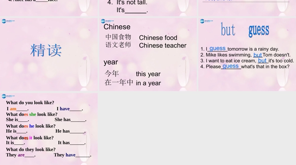 2014秋五年级英语上册 Unit 1 What does she look like课件4 湘少版