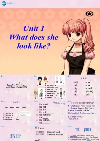 2014秋五年级英语上册 Unit 1 What does she look like课件4 湘少版