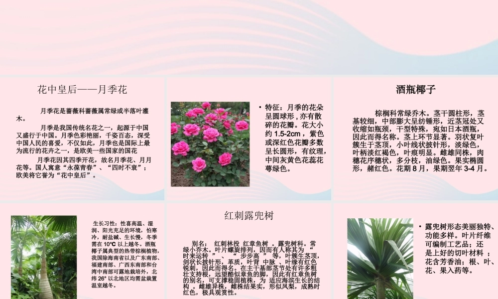 一年级生活与科技下册 2.4《参观植物园》课件 新人教版-新人教版小学一年级下册自然科学课件