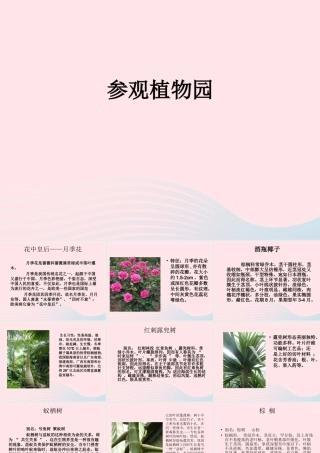 一年级生活与科技下册 2.4《参观植物园》课件 新人教版-新人教版小学一年级下册自然科学课件