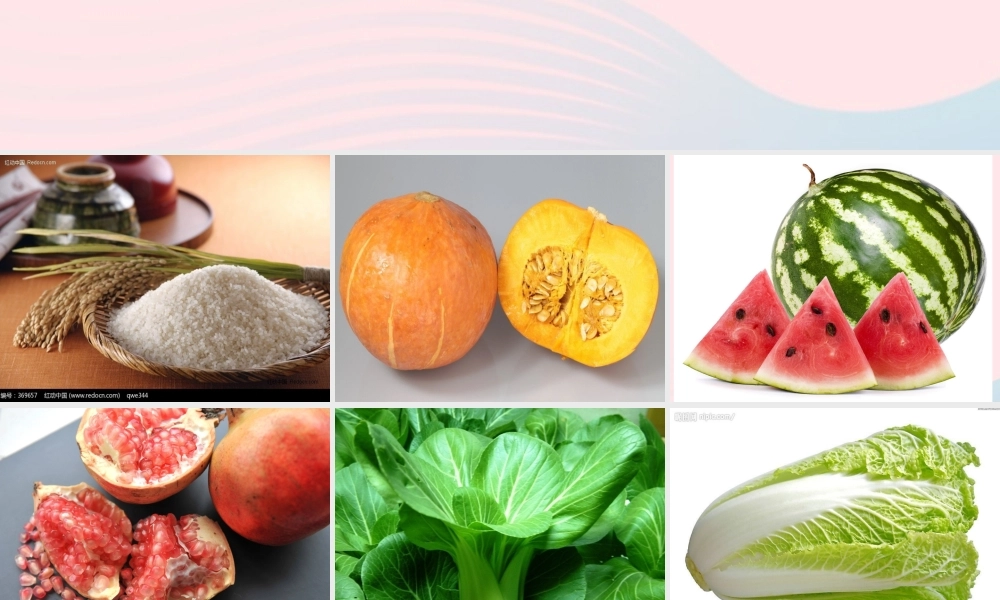 一年级生活与科技下册 3.1《各种各样的食物》课件（2） 新人教版-新人教版小学一年级下册自然科学课件