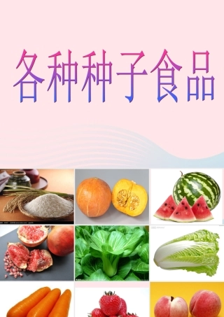 一年级生活与科技下册 3.1《各种各样的食物》课件（2） 新人教版-新人教版小学一年级下册自然科学课件