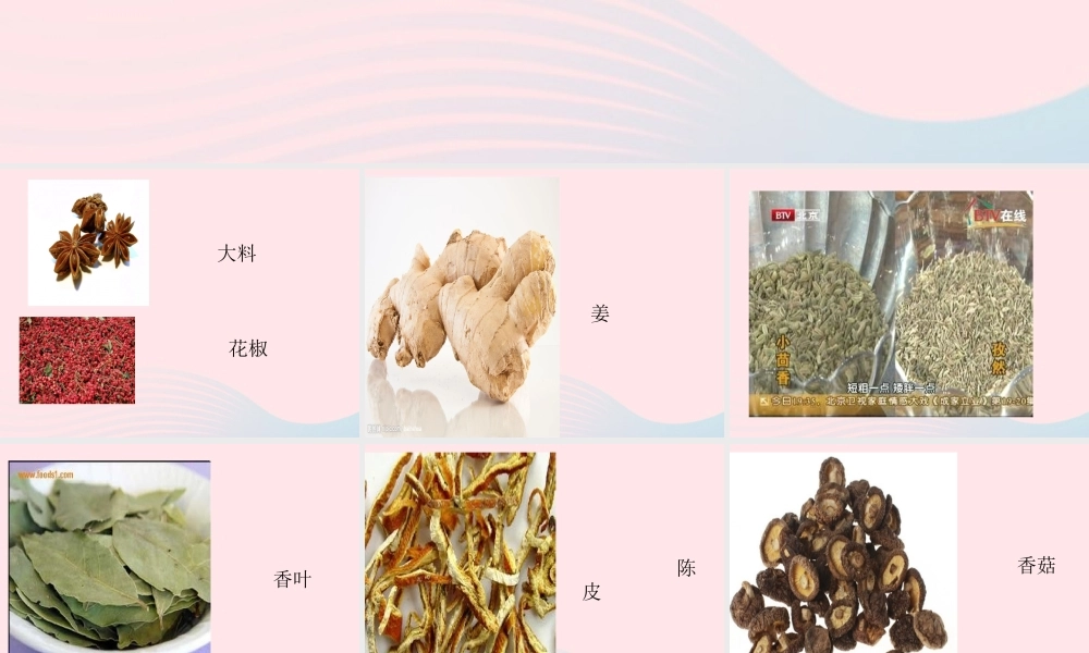 一年级生活与科技下册 3.1《各种各样的食物》课件（3） 新人教版-新人教版小学一年级下册自然科学课件