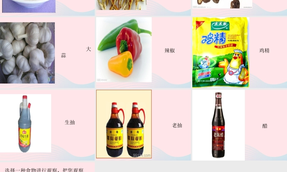 一年级生活与科技下册 3.1《各种各样的食物》课件（3） 新人教版-新人教版小学一年级下册自然科学课件