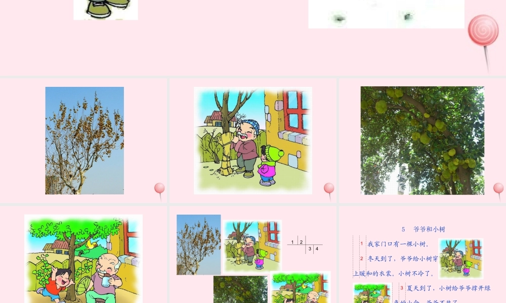 一年级语文上册 课文部分 第二单元 5《爷爷和小树》同步教学课件 鲁教版-鲁教版小学一年级上册语文课件