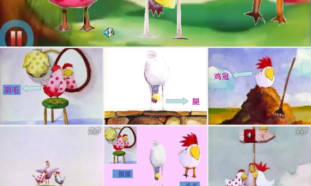 一年级生活与科技下册 3.3《神奇的蛋》课件（2） 新人教版-新人教版小学一年级下册自然科学课件