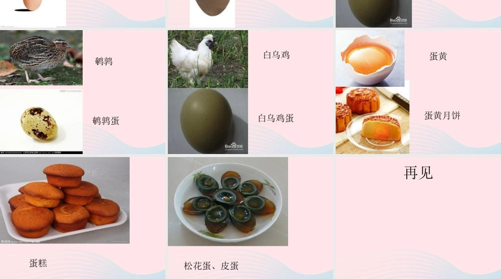 一年级生活与科技下册 3.3《神奇的蛋》课件（2） 新人教版-新人教级下册自然科学课件