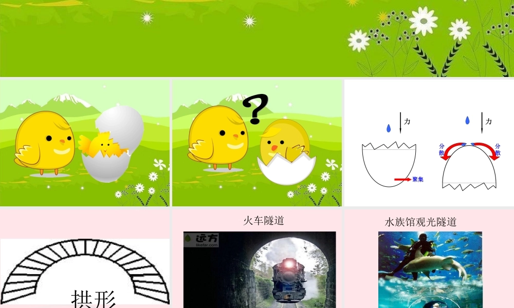 一年级生活与科技下册 3.3《神奇的蛋》课件（4） 新人教版-新人教版小学一年级下册自然科学课件