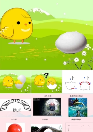 一年级生活与科技下册 3.3《神奇的蛋》课件（4） 新人教版-新人教版小学一年级下册自然科学课件