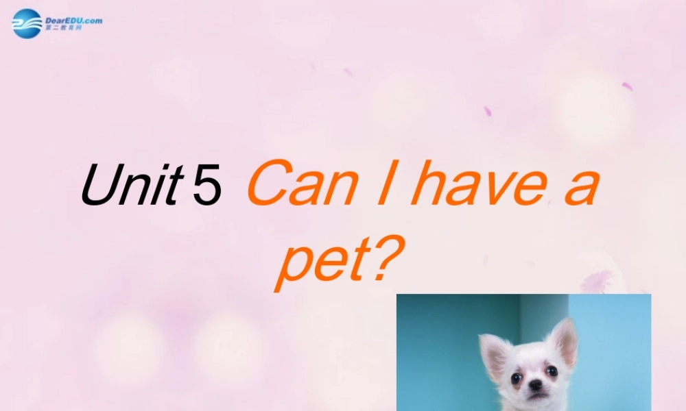 2014秋五年级英语上册 Unit 5 Can I have a pet课件 湘少版