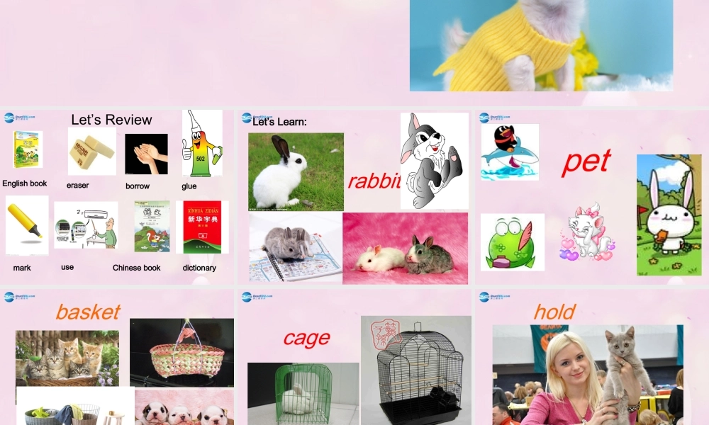 2014秋五年级英语上册 Unit 5 Can I have a pet课件 湘少版