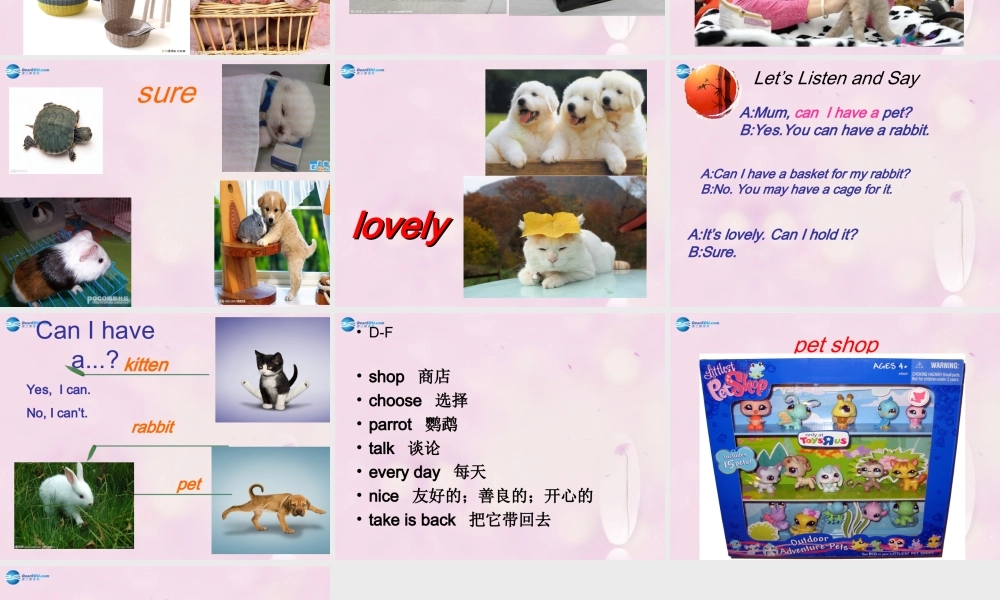 2014秋五年级英语上册 Unit 5 Can I have a pet课件 湘少版