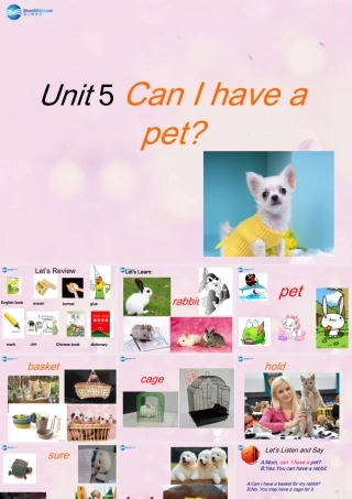 2014秋五年级英语上册 Unit 5 Can I have a pet课件 湘少版