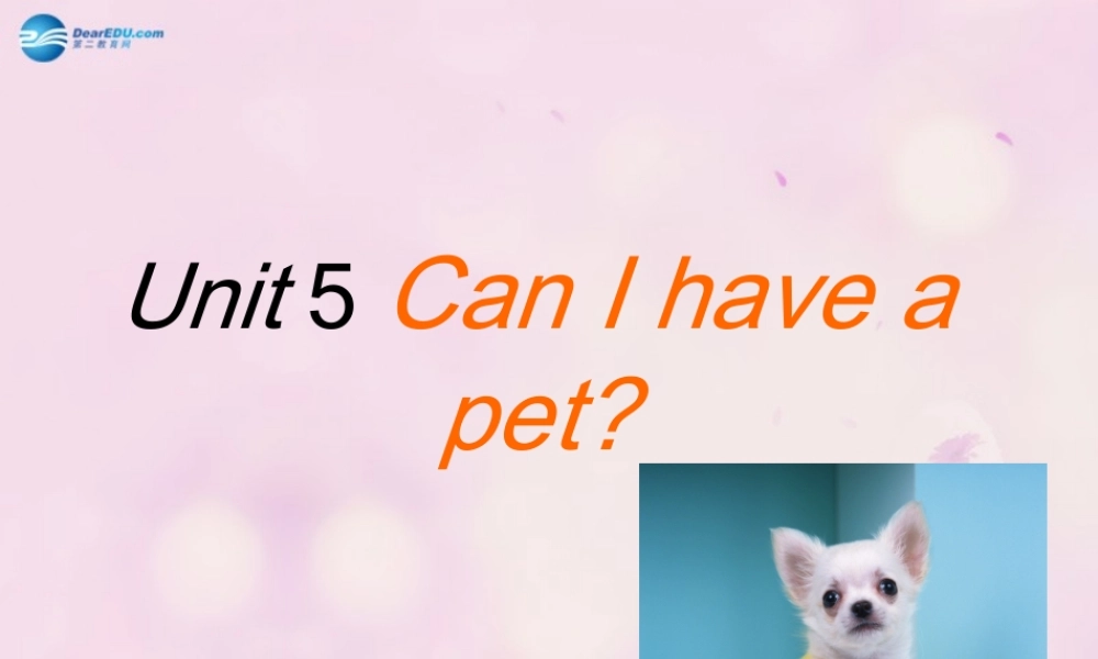 2014秋五年级英语上册 Unit 5 Can I have a pet课件2 湘少版