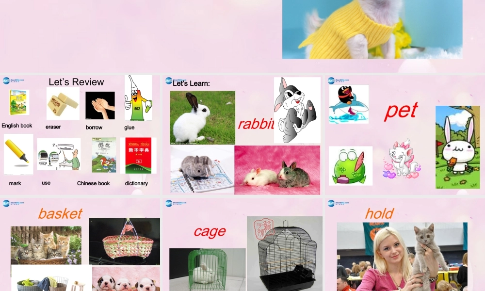 2014秋五年级英语上册 Unit 5 Can I have a pet课件2 湘少版