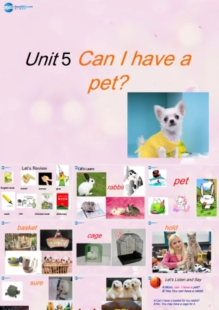 2014秋五年级英语上册 Unit 5 Can I have a pet课件2 湘少版