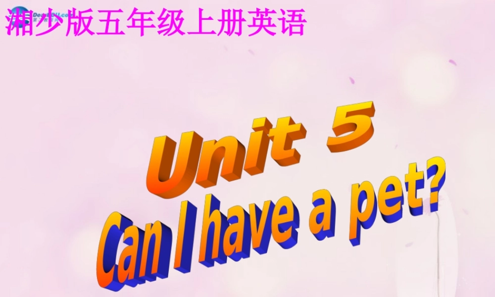 2014秋五年级英语上册 Unit 5 Can I have a pet课件3 湘少版