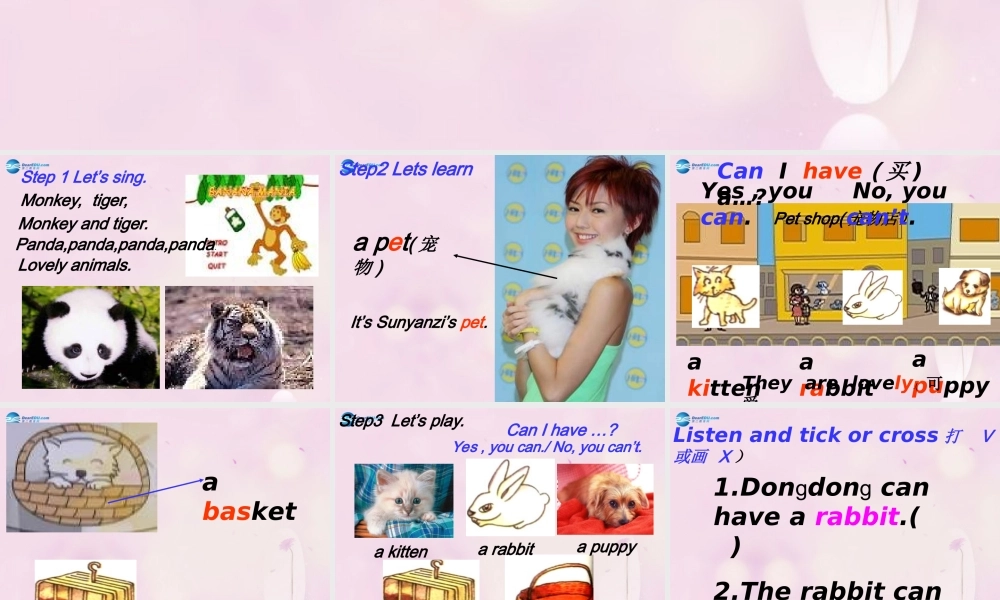 2014秋五年级英语上册 Unit 5 Can I have a pet课件3 湘少版