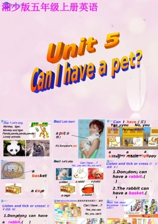 2014秋五年级英语上册 Unit 5 Can I have a pet课件3 湘少版