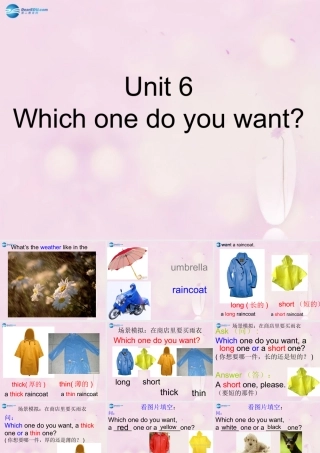 2014秋五年级英语上册 Unit 6 Which one do you want课件2 湘少版