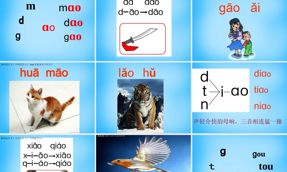 一年级语文上册《ao ou iu》课件1 苏教版-苏教版小学一年级上册语文课件
