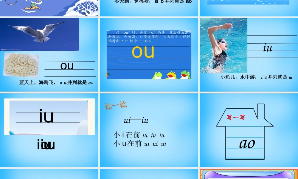 一年级语文上册《ao ou iu》课件3 苏教版-苏教版小学一年级上册语文课件