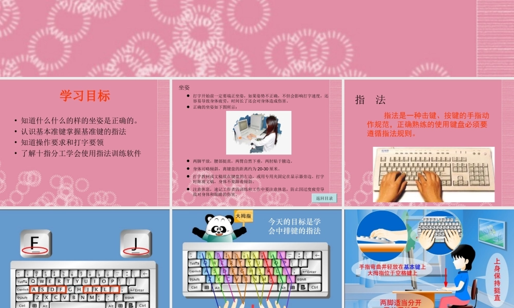 一年级信息技术下册 正确的坐姿和指法课件 河大版