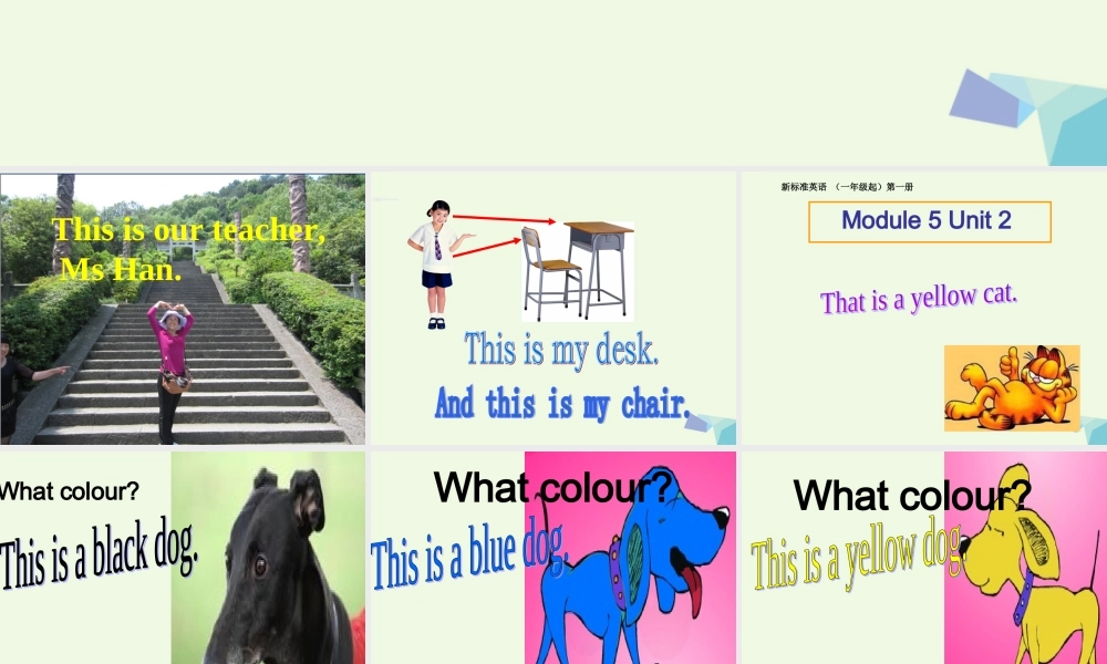一年级英语上册 Module 5 Unit 2 This is a yellow cat课件2 外研版（一起）-外研版小学一年级上册英语课件