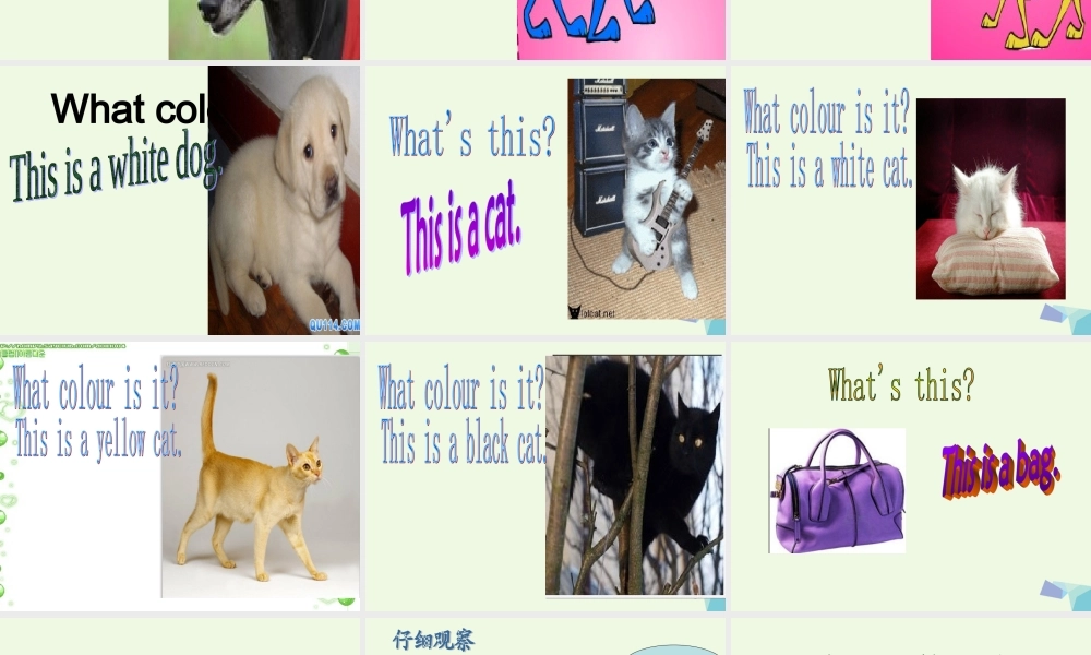 一年级英语上册 Module 5 Unit 2 This is a yellow cat课件2 外研版（一起）-外研版小学一年级上册英语课件