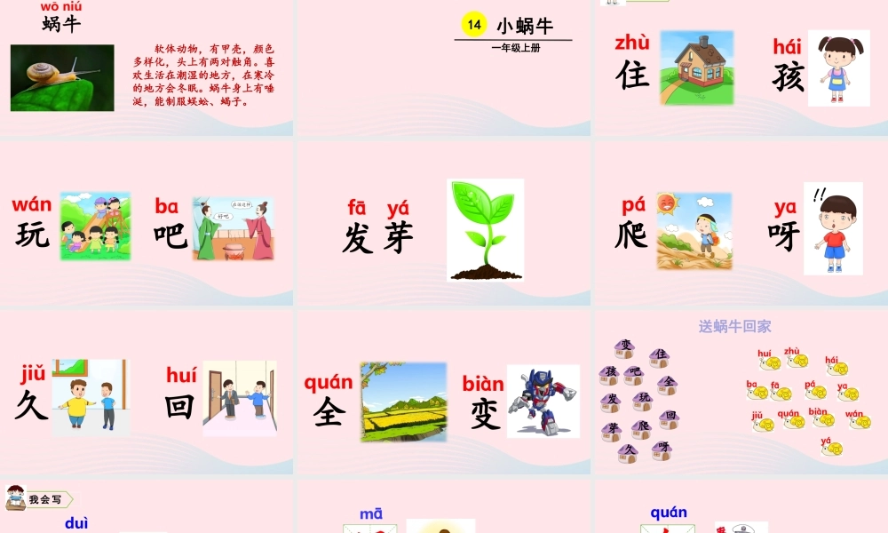 一年级语文上册 课文  小蜗牛教学课件+素材 新人教版