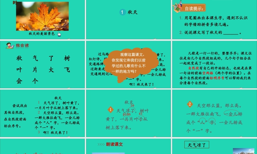 一年级语文上册 课文 1 1 秋天课件+素材 新人教版