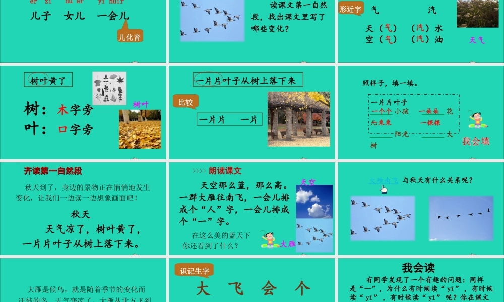 一年级语文上册 课文 1 1 秋天课件+素材 新人教版