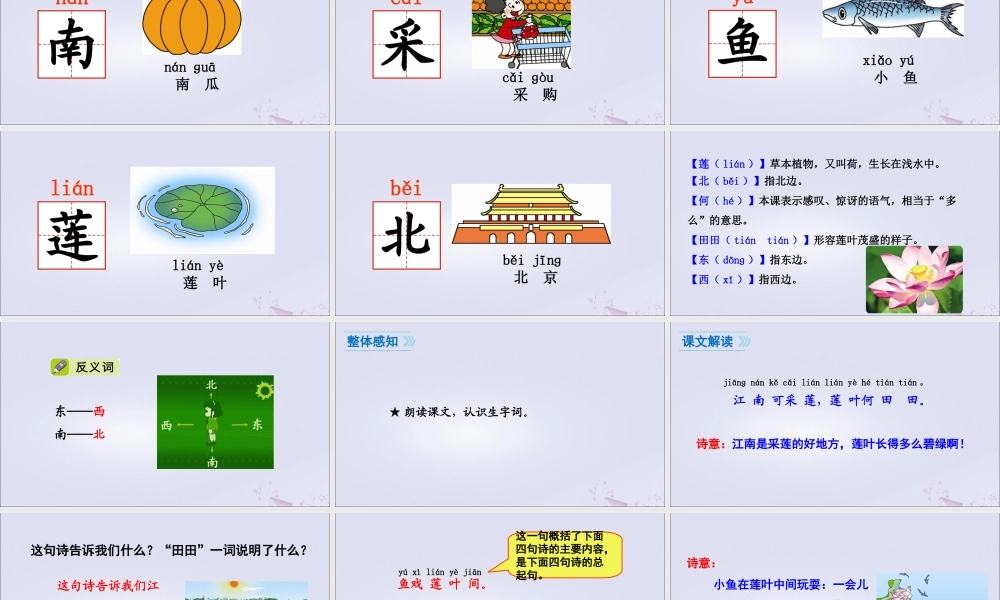 一年级语文上册 课文 1 3 江南课件 新人教版