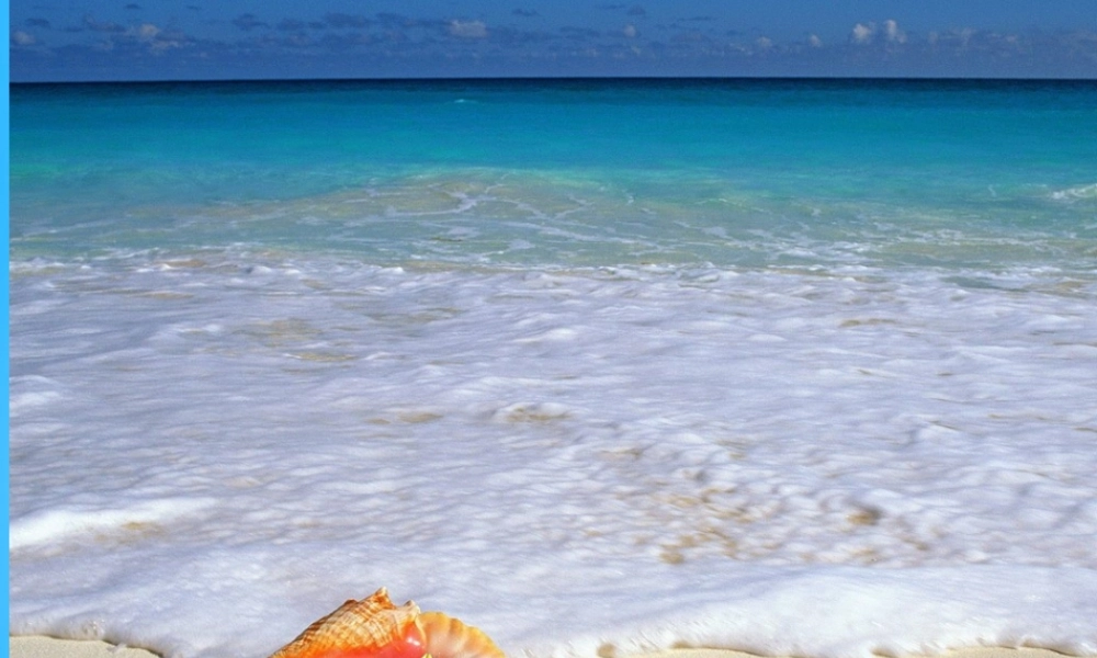 一年级语文上册《大海睡了》课件3 苏教版-苏教版小学一年级上册语文课件